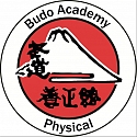 logo budo academy